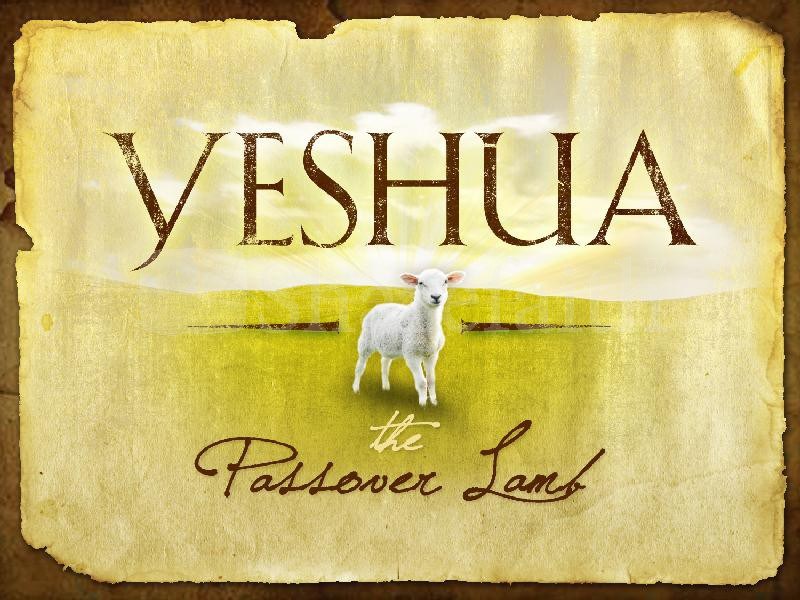 yeshua passover lamb